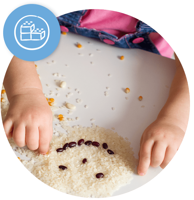 Sensory Processing & Regulation