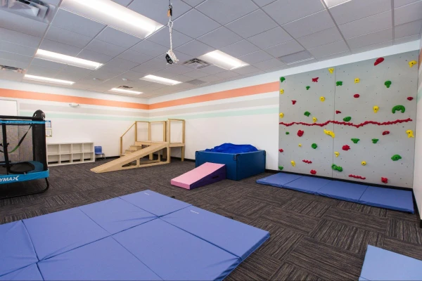 Pediatric therapy in Buffalo Grove - Sensory Gym at CST Academy